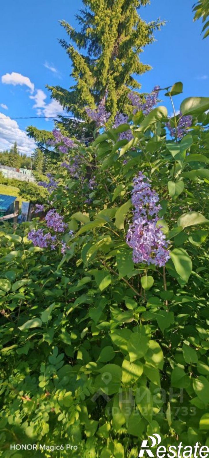 Коттедж/дом